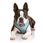 Preview: DOOG Neoflex Harness BENJI Gr. M